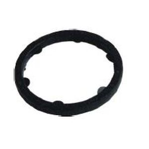 AZ PNEUMATICA RZ610-1/4 műanyag alátét